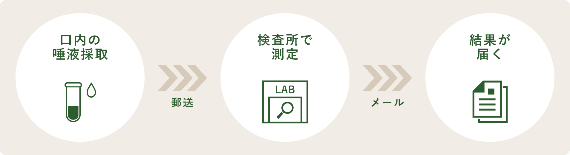 口内の唾液採取 > 郵送 > 検査所で測定 > メール > 結果が届く