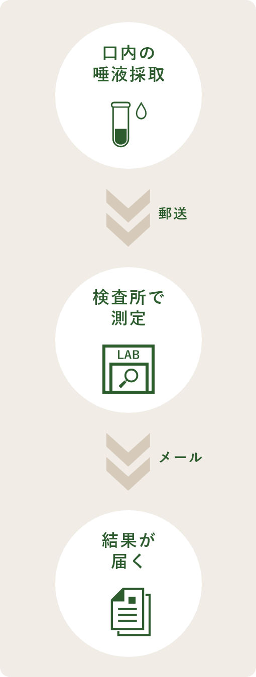 口内の唾液採取 > 郵送 > 検査所で測定 > メール > 結果が届く